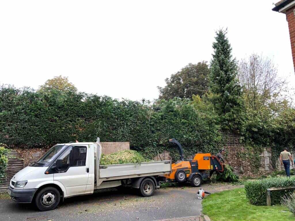 Castlebar Dependable, Low Cost Tree Solutions
