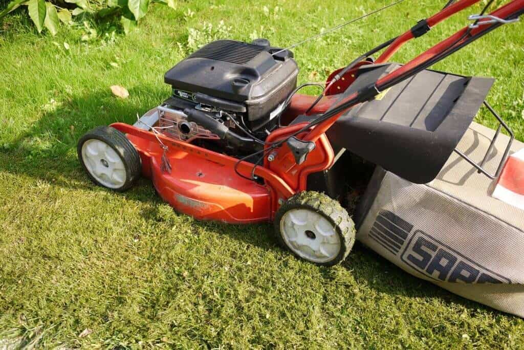 red lawnmower cutting grass short